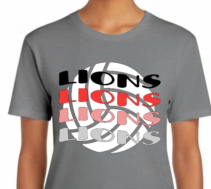 Volleyball with 4 Lions