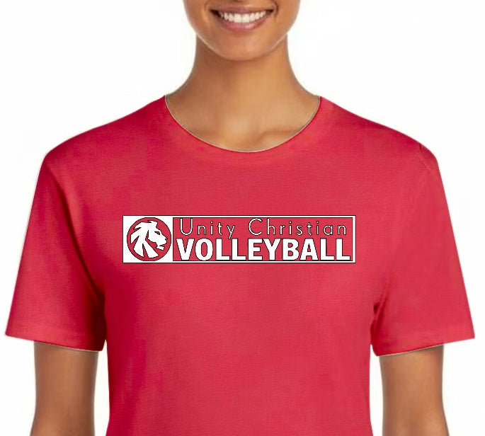 Volleyball Rectangle with Lion Head